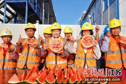 工地吃瓜人,揭秘建筑工地的酸甜苦辣人生