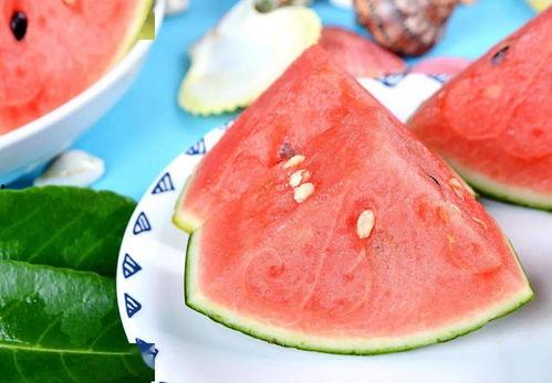 吃瓜采购,揭秘瓜果市场背后的采购智慧