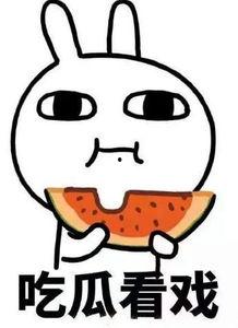 吃瓜方式讲小说,一场别开生面的小说盛宴