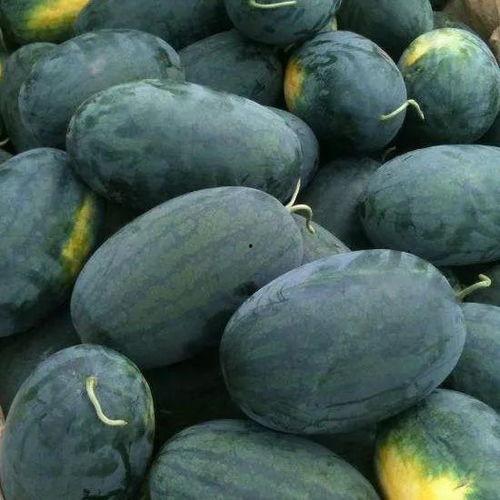 吃瓜地方,探寻全国最热门的“瓜园”