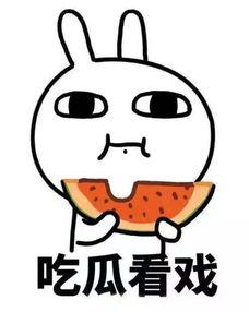 真诚吃瓜专用