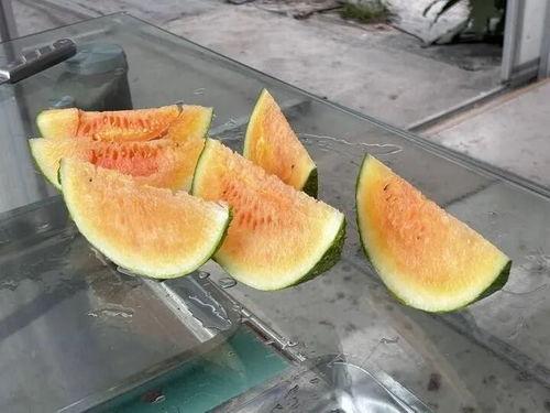 这个夏季吃瓜,缤纷吃瓜指南