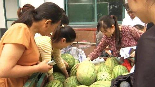 村里的吃瓜人,揭秘农村生活百态