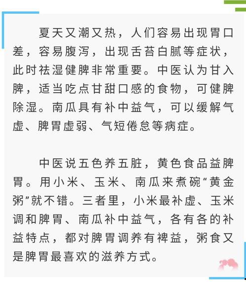 《清流吃瓜》全文阅读