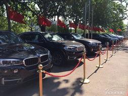 天津滨海汽车吃瓜,揭秘天津街头的热辣瞬间