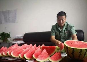 热作吃瓜,探寻夏日消暑美食之旅