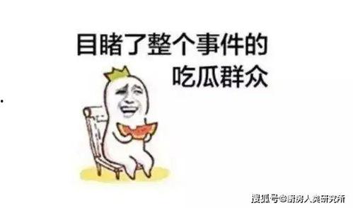 吃瓜在哪吃啊,揭秘美食聚集地