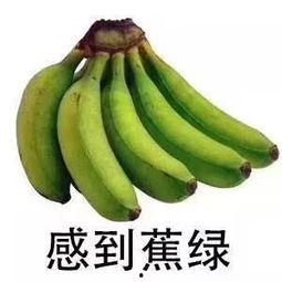 双视角合集吃瓜,揭秘吃瓜群众的狂欢盛宴