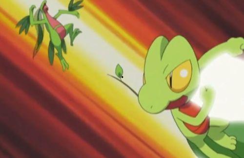 小智理性吃瓜,揭秘娱乐圈幕后真相