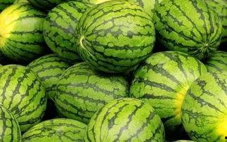 西瓜专用吃瓜叉,西瓜专用吃瓜叉，开启夏日清凉新体验