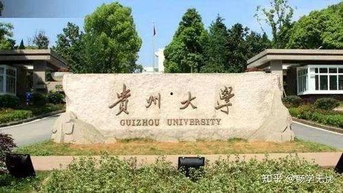 贵州大学吃瓜视频,揭秘校园生活趣味瞬间