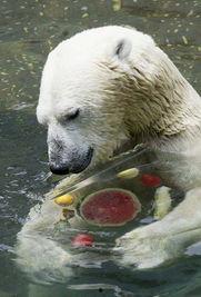 悠哉吃瓜图片大全,图解娱乐圈欢乐瞬间