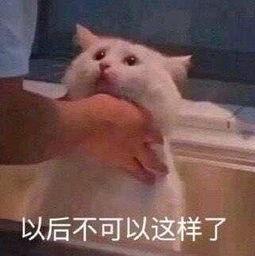 61吃瓜朝阳群众,网络舆论场中的风云人物