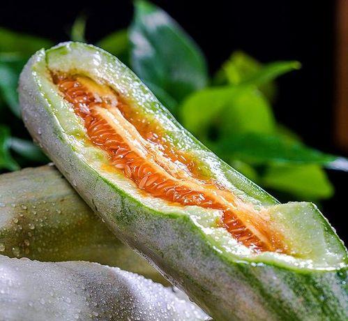 山东职业吃瓜图片,瓜界新秀的美食探索之旅